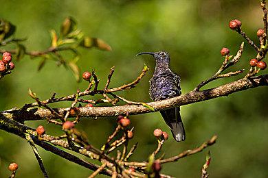 任天堂拒绝透露新NS是否解决了Joy-Con的漂移问题